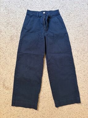 Everlane Navy Blue Wide Leg Pants
